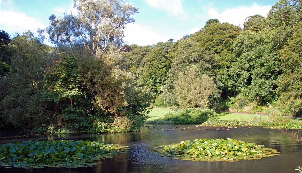 Mount Edgcumbe Country Park